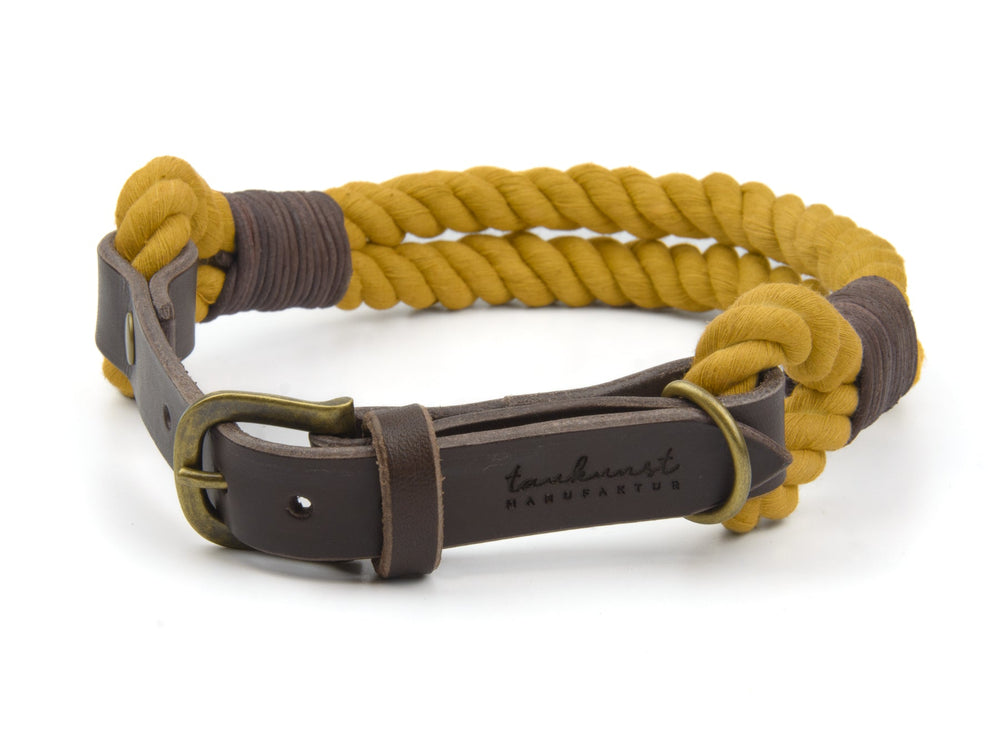 Gelbes geflochtenes Hundehalsband aus Rope-Art mit brauner Lederschließe und modernem Design.