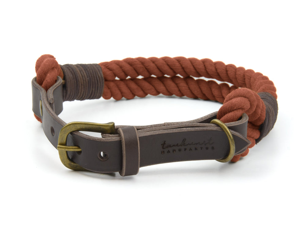 Braunes geflochtenes Hundehalsband aus Leder mit robuster Messingschnalle, ideal für stilbewusste Hundebesitzer.