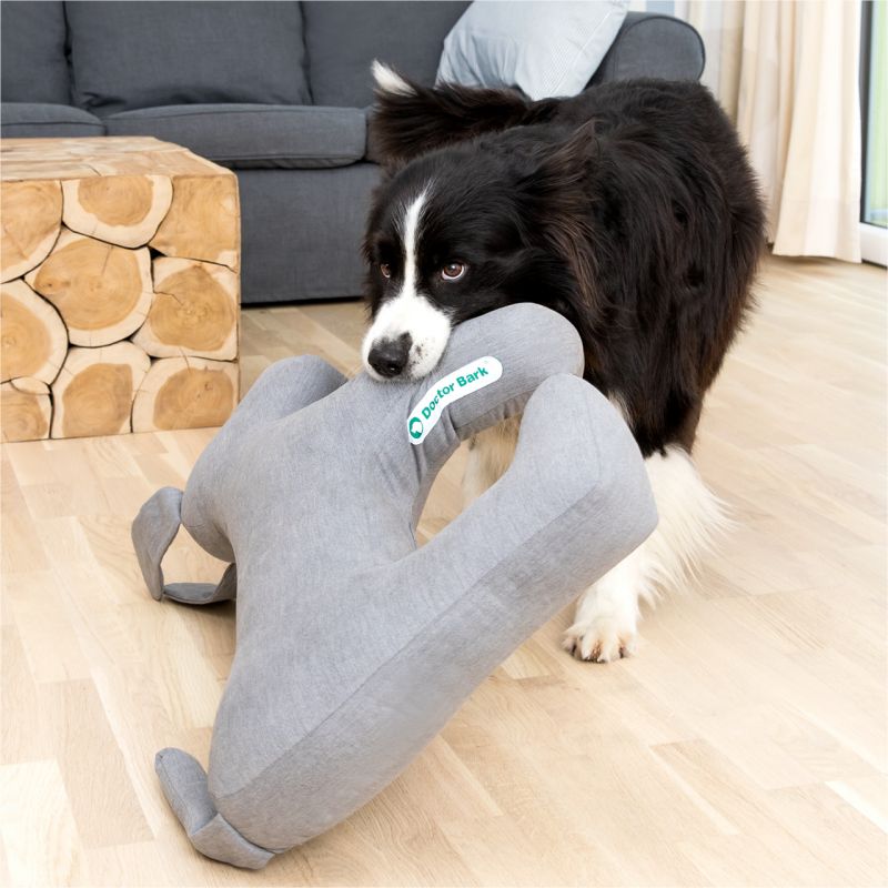 Schwarzer Border Collie mit grauem Dinosaurier-Spielzeug auf hellem Holzboden vor Sofa und Tisch.