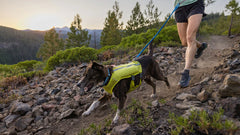 Trail Runner™ Leash