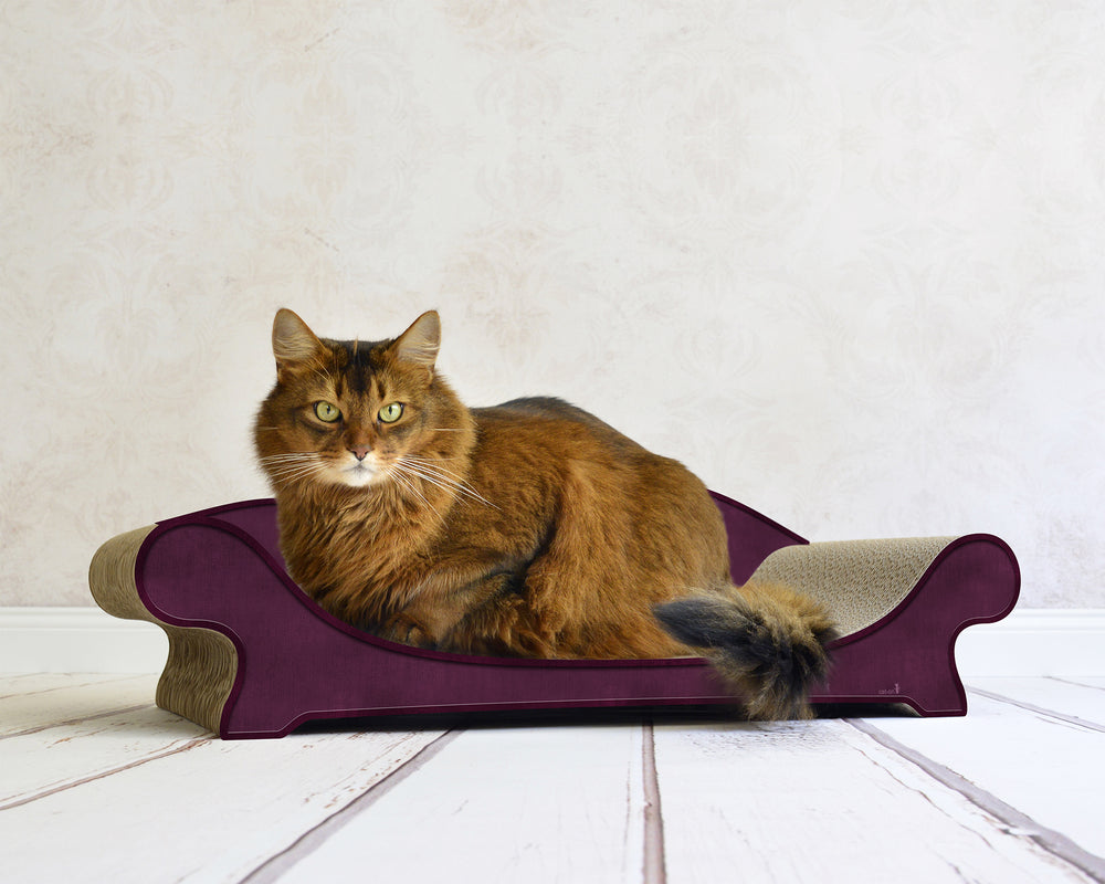 violett (070) - Bild 2