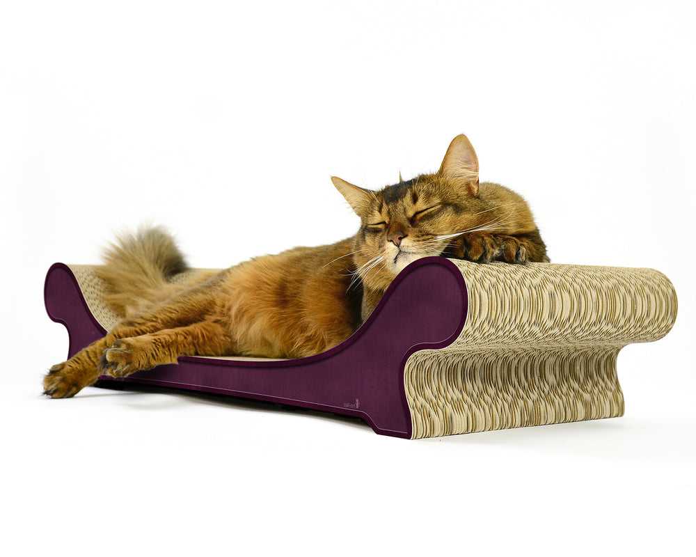 violett (070) - Bild 3