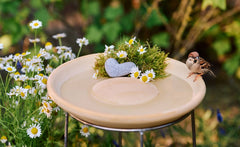 Vogeltränke CeraNatur auf Ständer, terrakottafarben, gefüllt mit Wasser, umgeben von Gänseblümchen und grünem Moos.