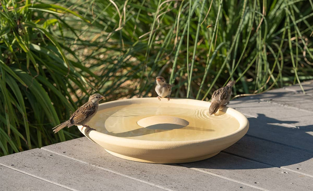 Drei Spatzen genießen eine Vogeltränke von CeraNatur, umgeben von grünem Gras und Pflanzen.