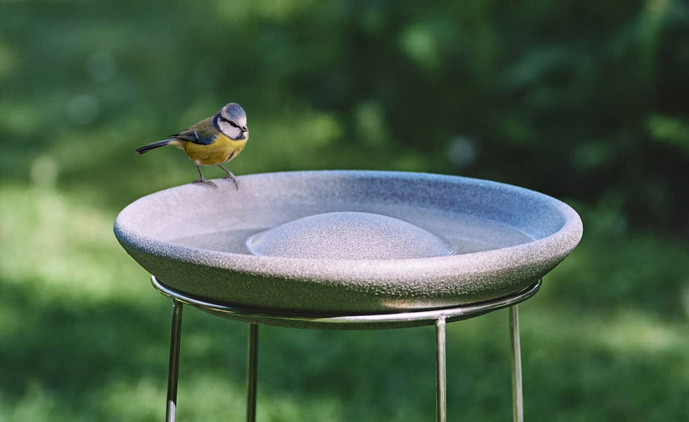 Vogeltränke Granicium mit Ständer: Runde graue Schale, ein kleiner Vogel auf dem Rand, umgeben von grünem Gras.
