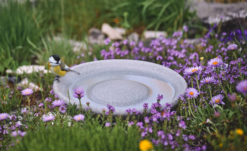 Kleiner Vogel auf der runden Granicium Vogeltränke, umgeben von bunten Blumen in einer grünen Umgebung.