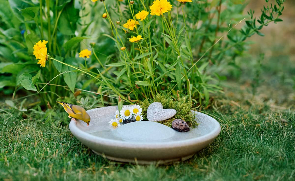 "Vogeltränke Granicium: Flache Schale mit Wasser, umgeben von Steinen, bunten Blumen und grünem Moos für eine einladende Natur Oase."