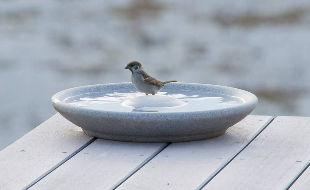 Vogeltränke Granicium auf einem Holztisch mit einem kleinen Vogel, der auf der Wasseroberfläche steht.