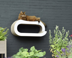 weiß,  gestrichen (000x) - Bild 2