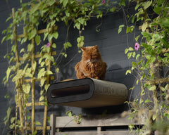 schwarz, meliert (013) - Bild 1