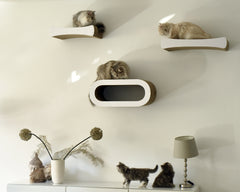 weiß,  gestrichen (000x) - Bild 2