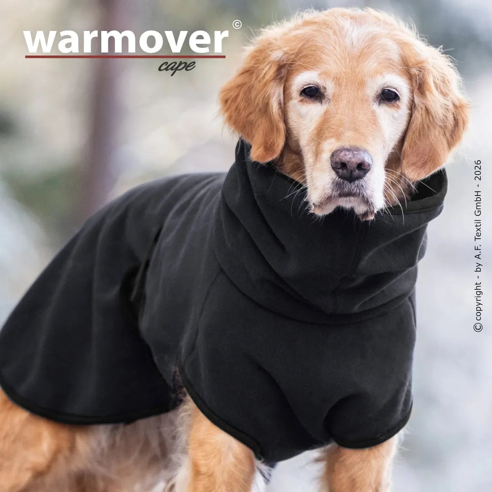Golden Retriever trägt das Warmover® Cape im natürlichen Umfeld, schaut direkt in die Kamera.