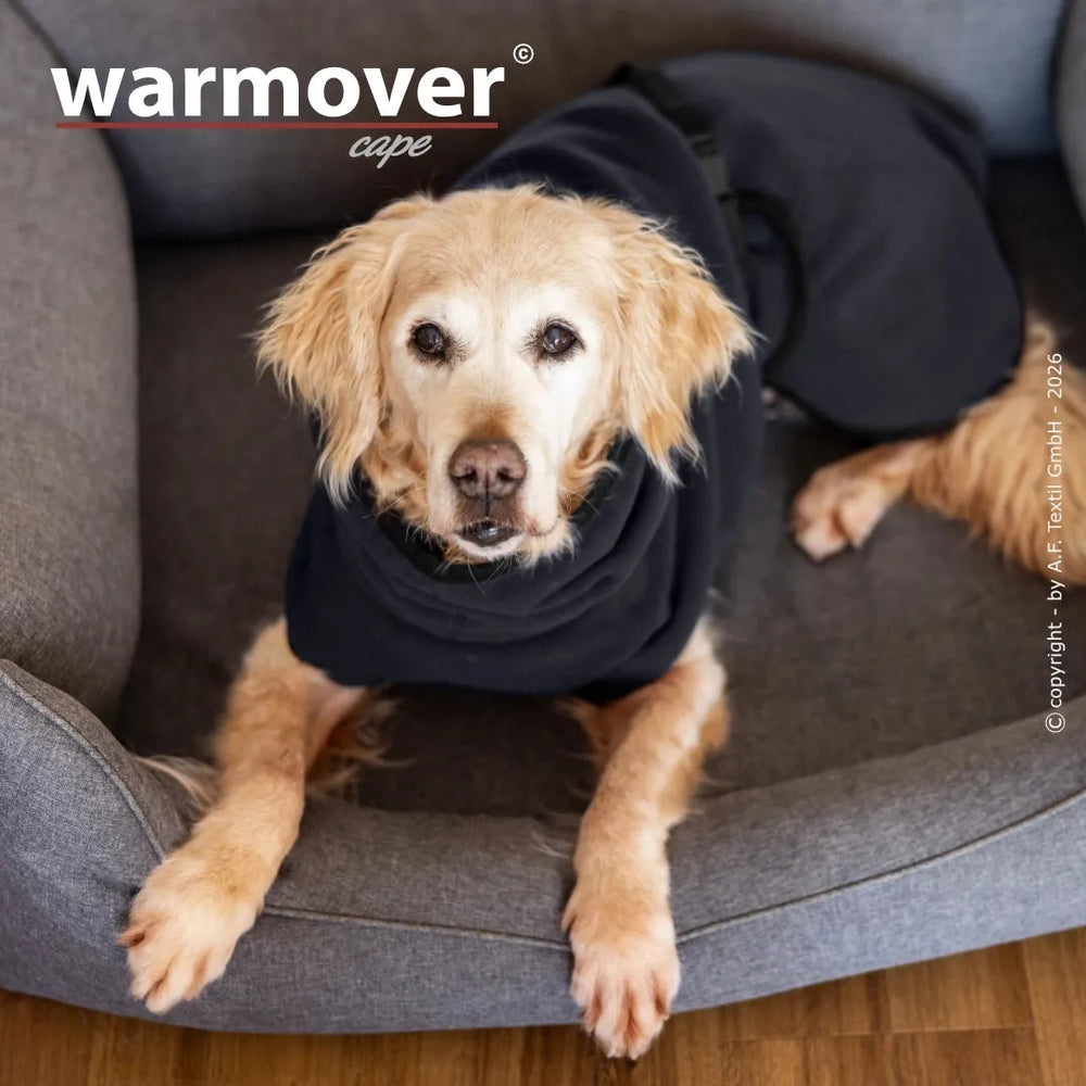 Goldener Retriever im Warmover© Cape, entspannt in grauem Hundebett, mit freundlichem Blick.