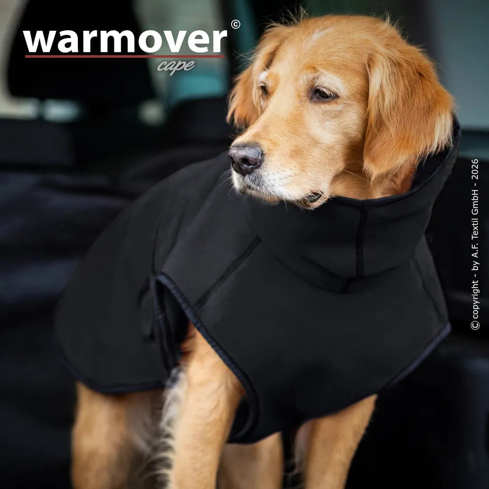Hund im schwarzen Warmover© Cape sitzt aufmerksam in einem Fahrzeug und bleibt warm und stylisch.