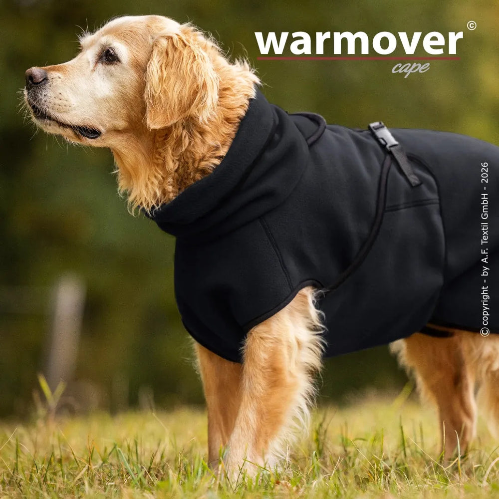 Golden Retriever im schwarzen Hundemantel mit Kapuze, umgeben von Bäumen und grüner Wiese. Ideal für kalte Tage.