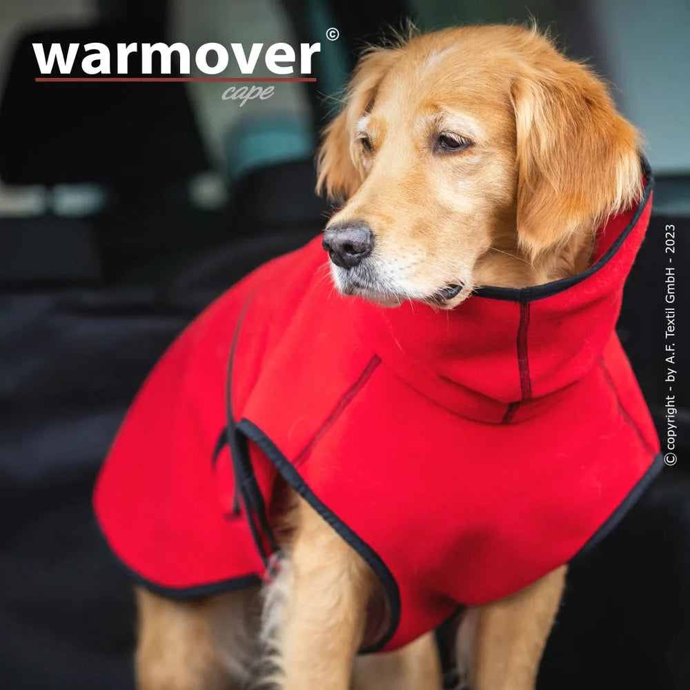 Hund im roten Warmover© Cape mit schwarzem Rand, entspannt im Auto sitzend.