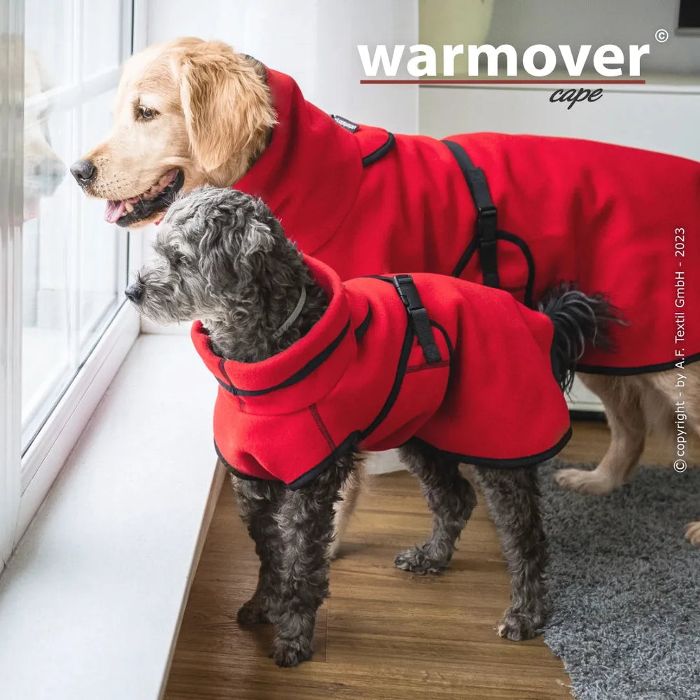Zwei Hunde in roten Mänteln am Fenster, der Golden Retriever und ein grau-weißer Hund, tragen stylische Warmover© capes.
