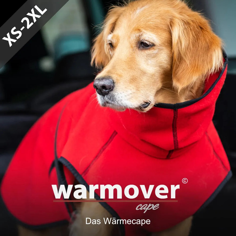 Hund im roten Wärmecape von Warmover©, gemütlich mit hohem Kragen, ideal für kühle Tage, erhältlich in XS bis 2XL.