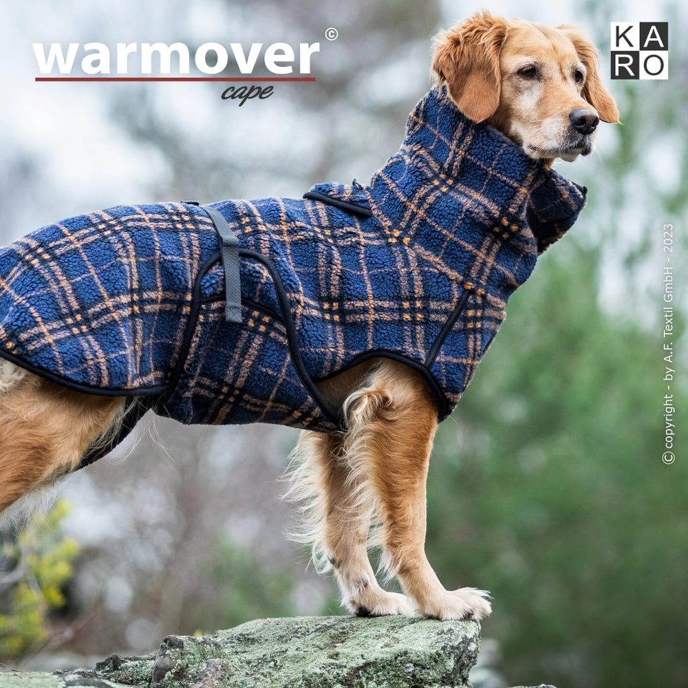 Hund trägt warmover© cape karo, kariert in Blau und Braun, auf einem Felsen stehend.