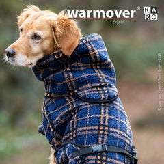Golden Retriever im blauen Fleece-Cape mit Karomuster, hochgeschlossen und gesichert, steht im Freien.