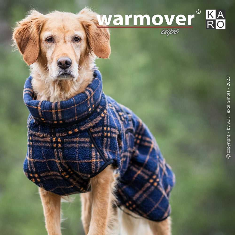 Hund im blauen, karierten Warmover-Cape mit hohem Kragen vor unscharfer, grüner Landschaft.