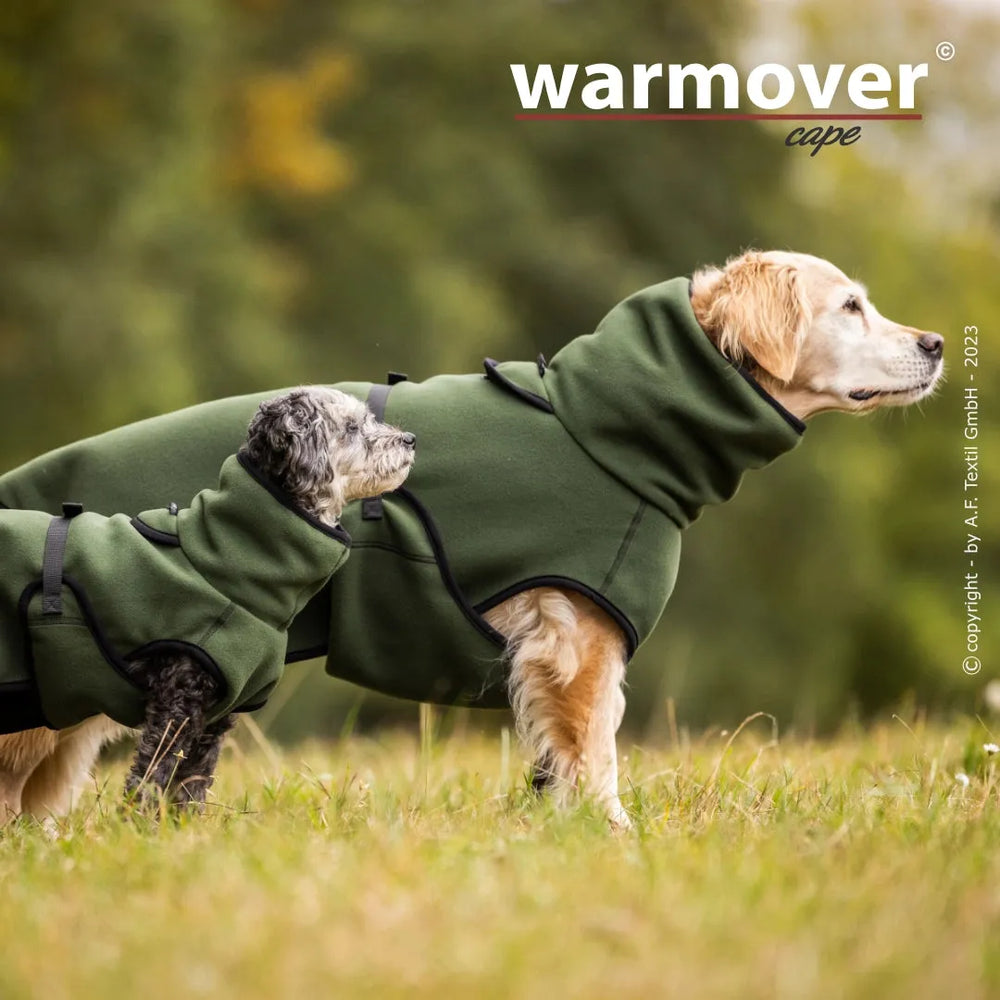 Zwei Hunde in grünen Warmover© Kapuzenmänteln stehen auf einer Wiese, umgeben von unscharfem Hintergrund.