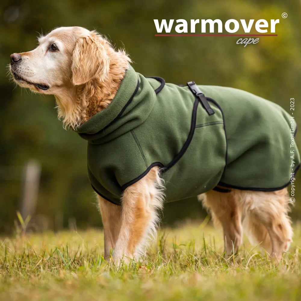 Golden Retriever im flauschigen grünen Warmover© Cape mit hohem Kragen und Gurt zur Befestigung.