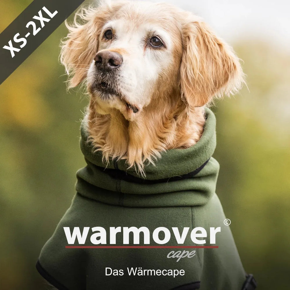 Älterer Hund trägt warmes, grünes Wärmecape in Größe XS bis 2XL und schaut aufmerksam in die Ferne.
