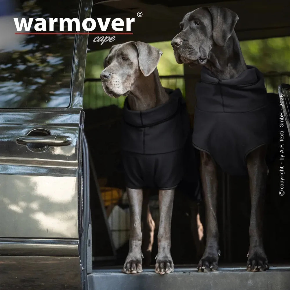 Zwei Hunde im Fahrzeug mit schwarzen Wärmecapes von Warmover© blicken neugierig nach draußen.