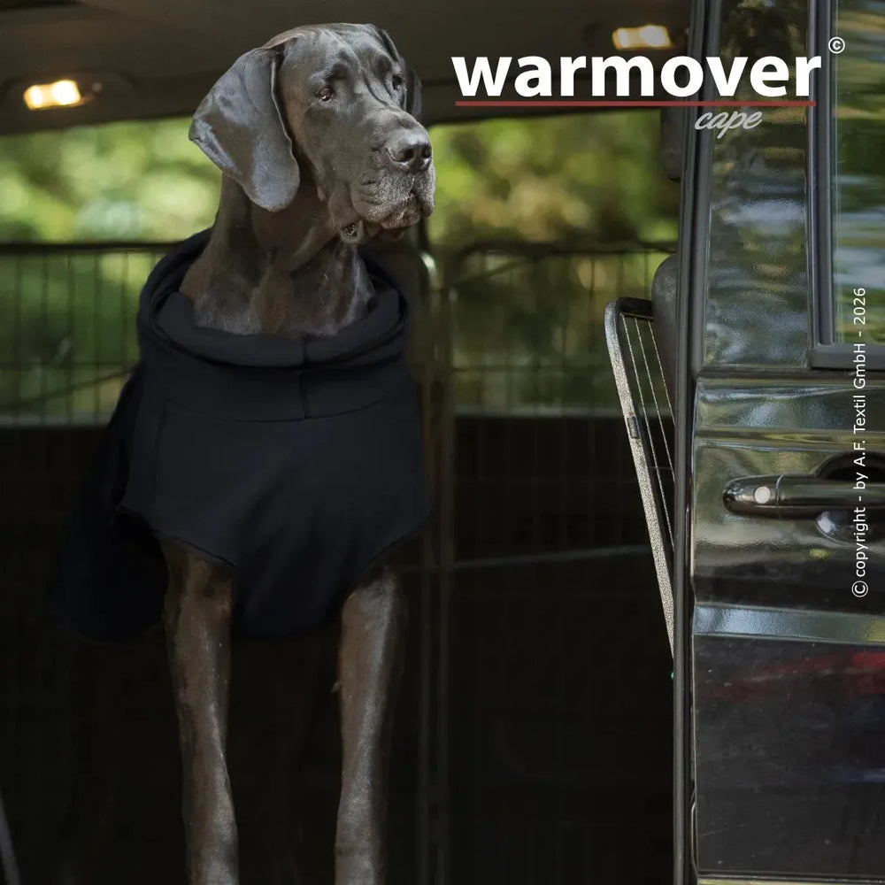 Großer Hund in schwarzem Wärmecape schaut aus einem Fahrzeug. Ideal für kalte Tage und Schutz unterwegs.