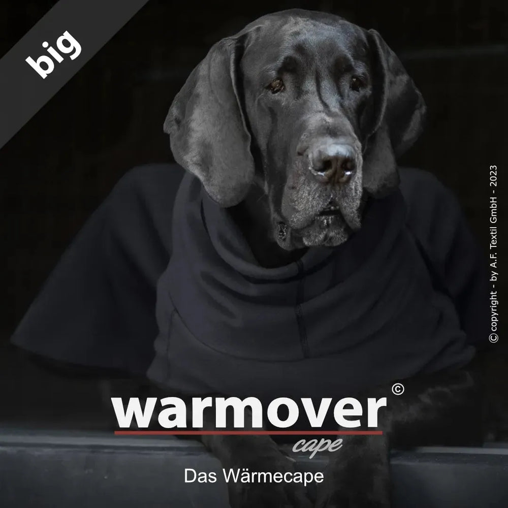 Hund im schwarzen Warmover© Wärmecape entspannt sitzend, ideal für Wärme und Komfort.