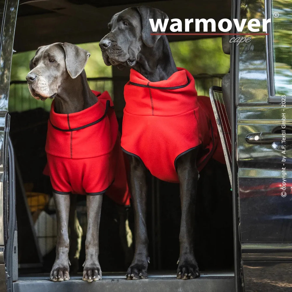 Zwei große Hunde in roten Mänteln schauen aus einem Fahrzeug in die grüne Umgebung, das Wärmecape Warmover©.