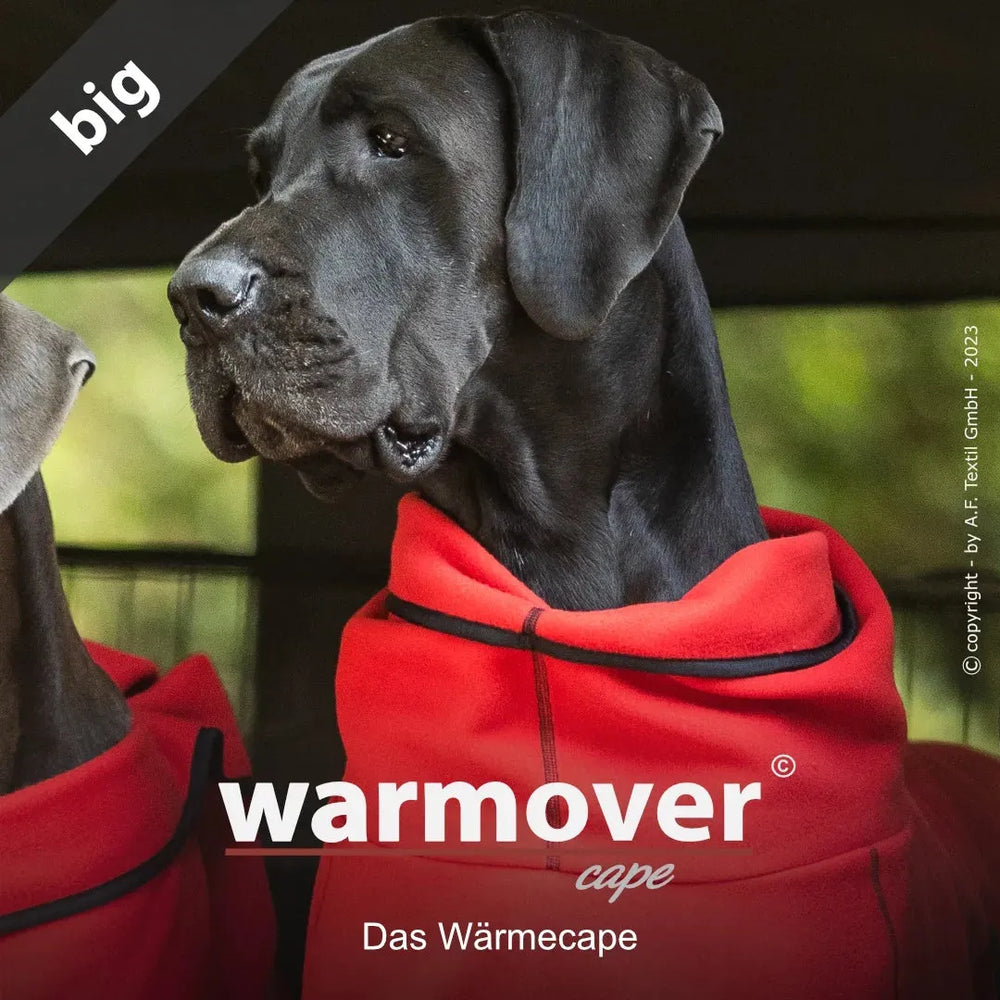 Zwei große Hunde tragen ein rotes Warmover® Cape mit Kapuze, perfekt für gemütliche Wärme und Stil.