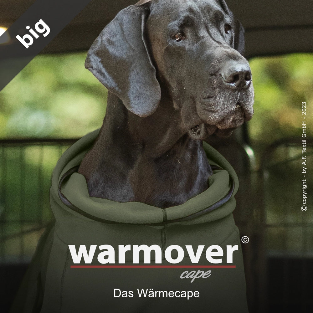 Großer Hund im olivgrünen Wärmecape von warmover©, bequem geschnitten für optimale Wärme und Komfort.