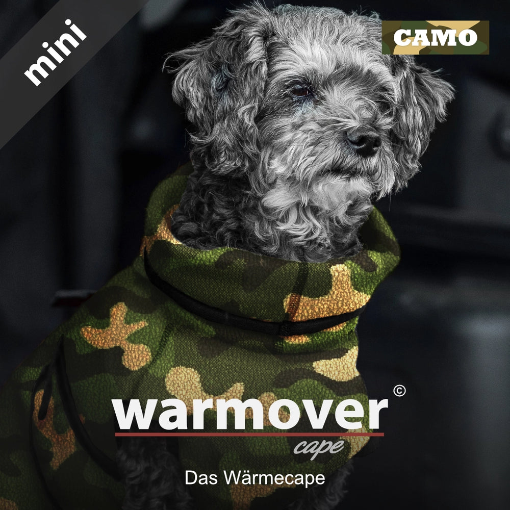 Kleiner Hund mit grauem, lockigem Fell trägt ein camouflage Wärmecape und schaut freundlich in die Kamera.
