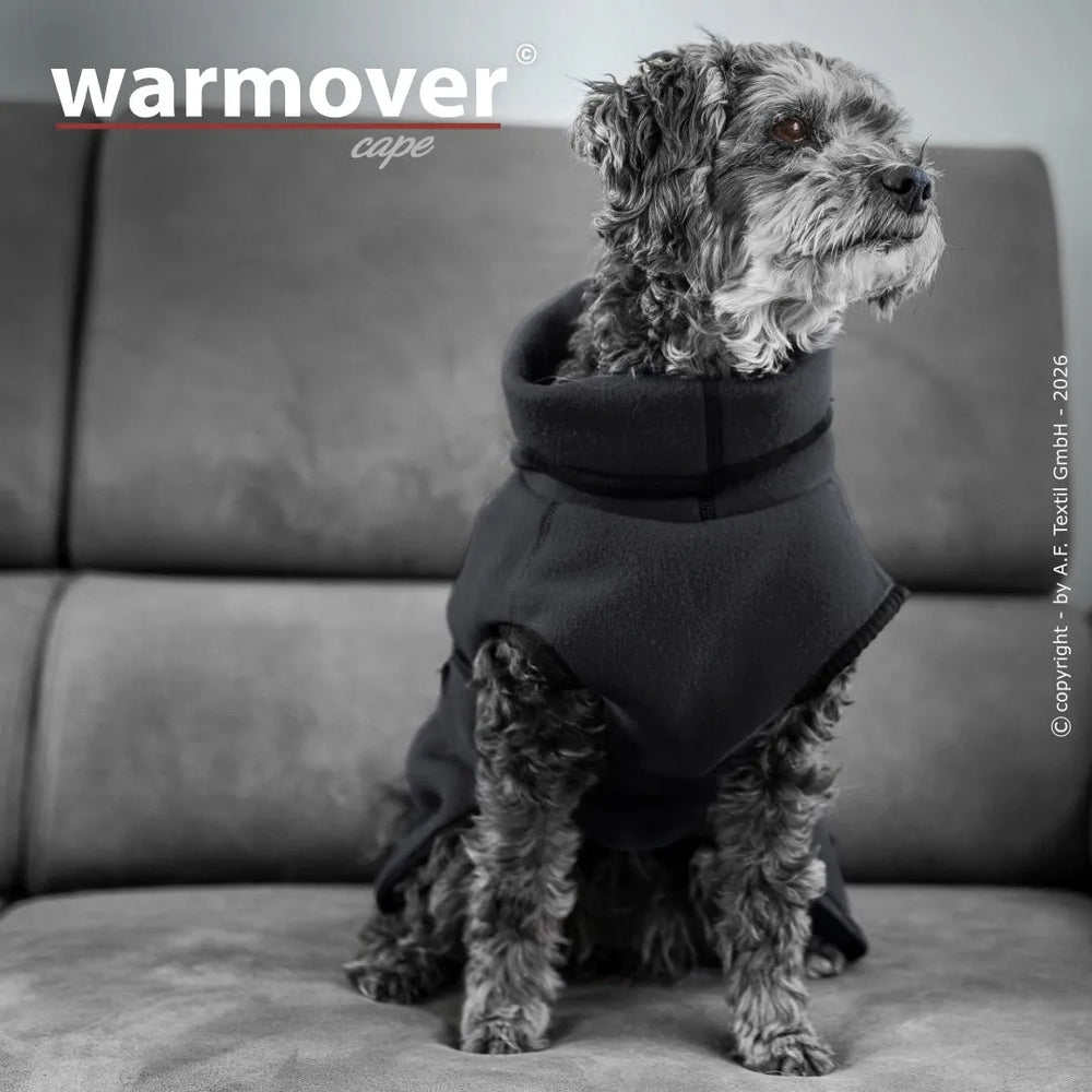 Hund im schwarzen Hoodie-Cape sitzt auf grauer Couch und schaut aufmerksam. Schlichtes, helles Hintergrunddesign.