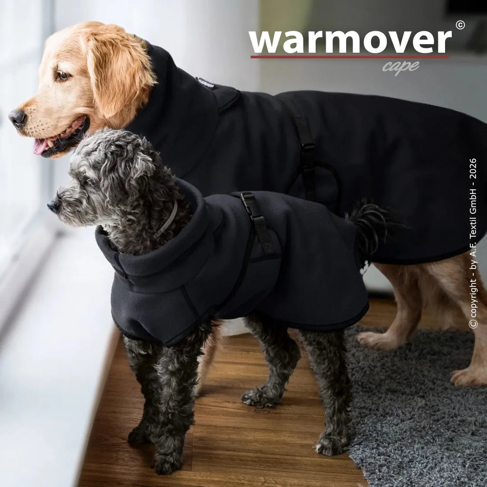 Zwei Hunde im Hundemantel schauen aus dem Fenster, das Licht fällt auf den Holzfußboden. Warmover© cape mini in Aktion.