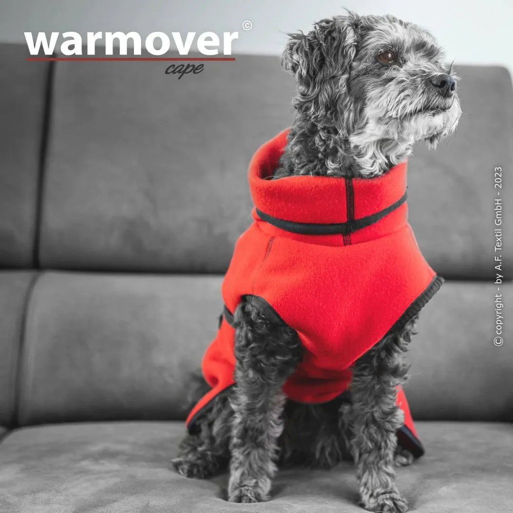 Kleiner Hund mit rotem Wärmecape auf grauem Sofa, schaut neugierig zur Seite. Ideal für kuschelige Momente.