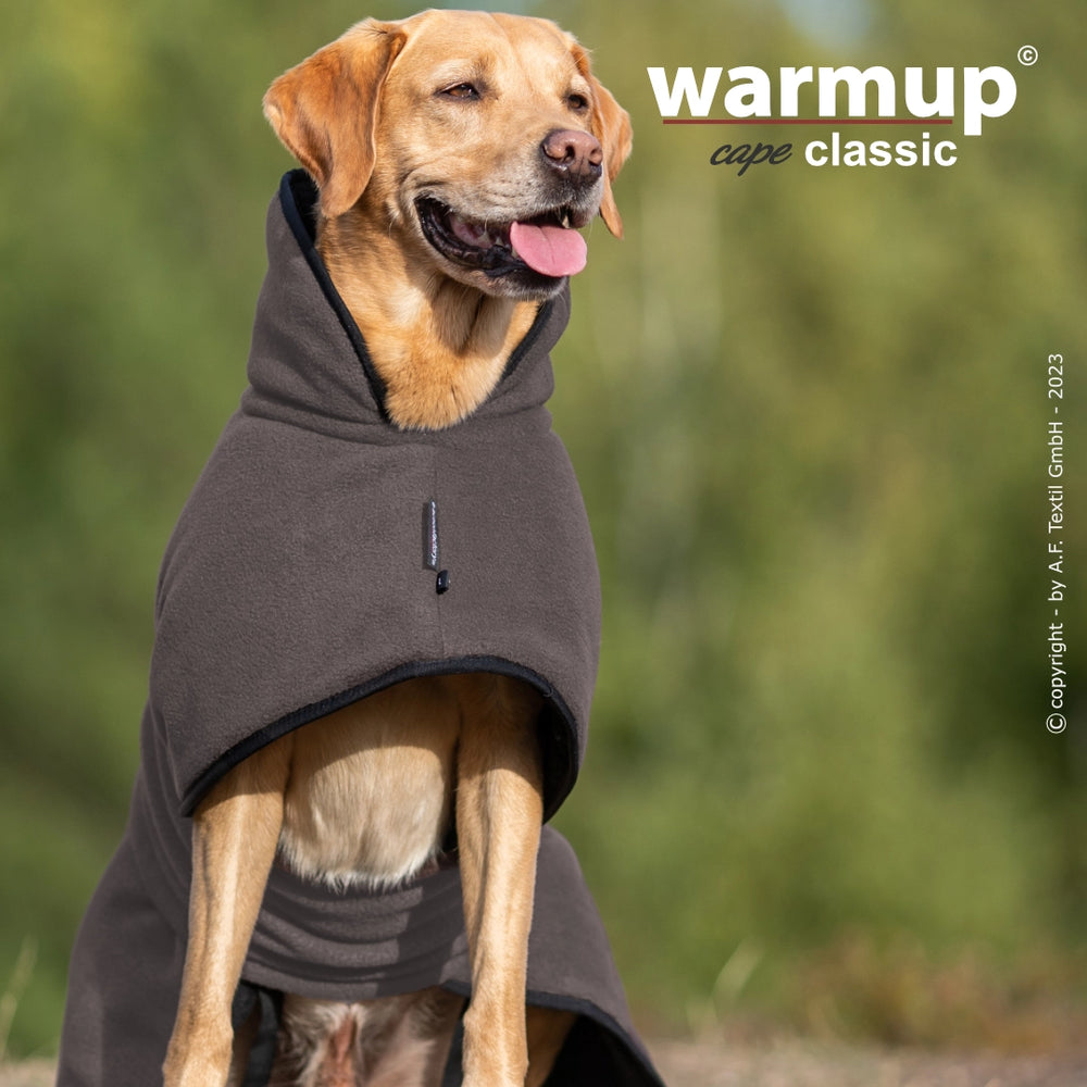 Labrador in grauem Wende-Cape sitzt freundlich im grünen Naturhintergrund.