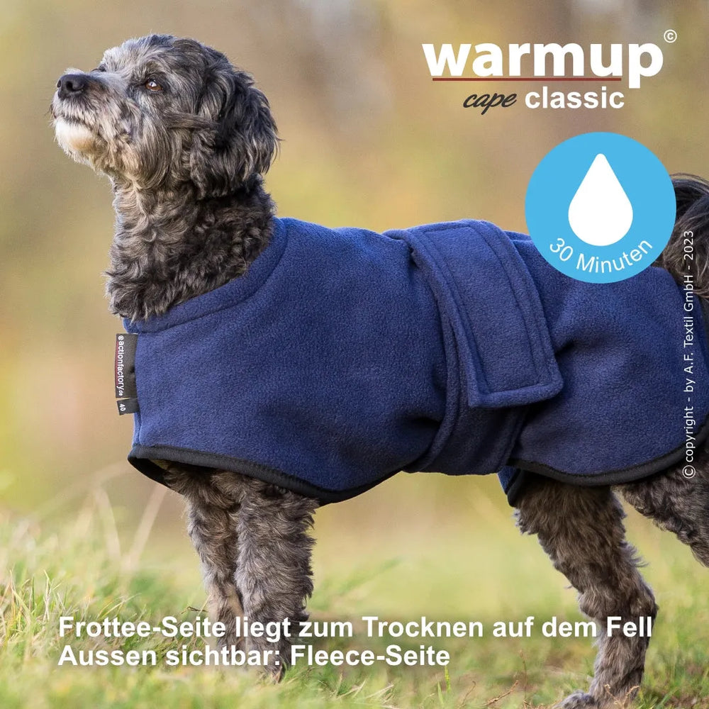 Hund im blauen Wende-Cape aus Frottee und Fleece, lässig im Freien.