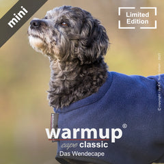Hund im blauen Wendecape "warmup cape classic mini" in limitierter Auflage, unscharfer Hintergrund für optimalen Fokus.