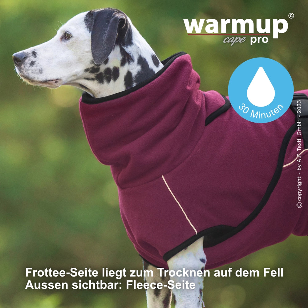 Hund im burgunderfarbenen Wende-Cape aus Fleece und Frottee, ideal zum Trocknen und Schutz bei kühlem Wetter.