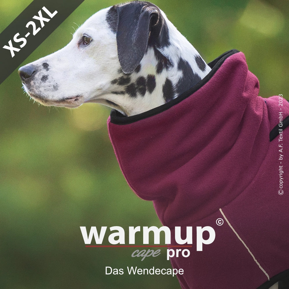 Dalmatiner mit rot-schwarzem Wendecape von warmup© pro, erhältlich in Größen XS bis 2XL für Hunde.