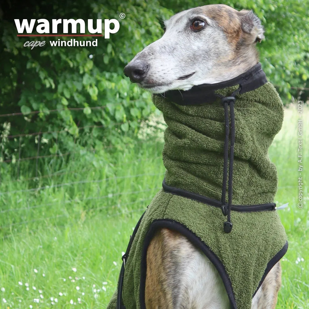 Windhund im grünen Warmup-Cape vor natürlicher Kulisse, weiches Material und Kapuze für optimalen Schutz.