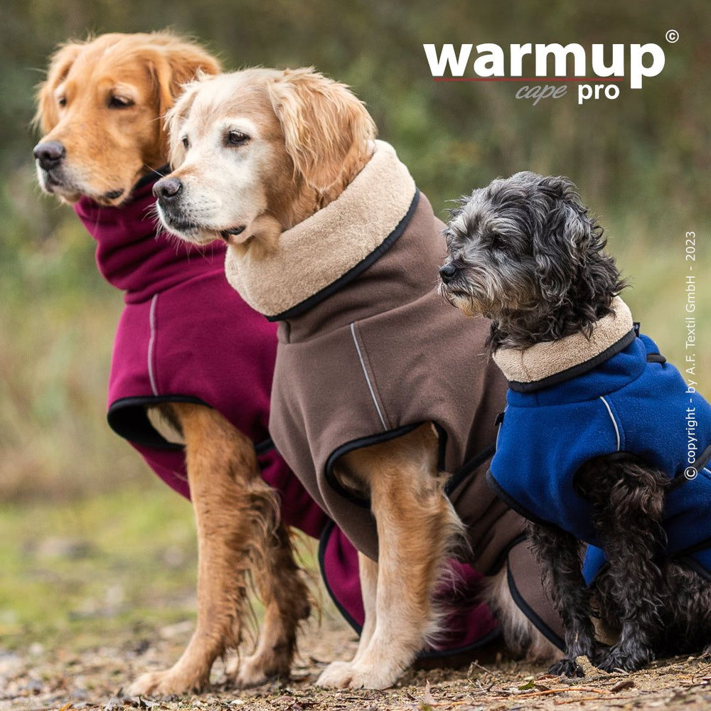 Drei Hunde in warmen Fleece-Mänteln: ein bordeauxroter Golden Retriever, ein brauner Golden Retriever und ein kleiner Hund.