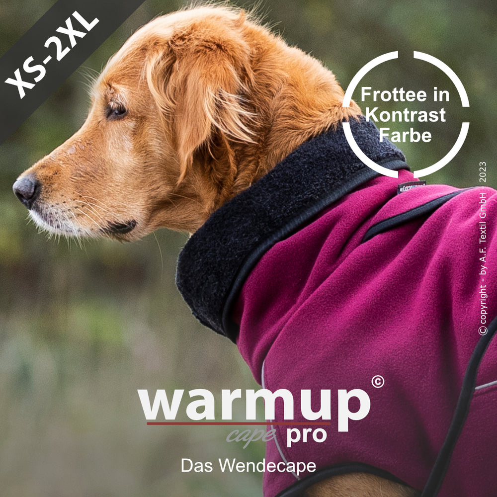 Hund mit Wende-Cape von WARMUP© in Bordeaux und Schwarz, blickt zur Seite, perfekt für stilvolle Spaziergänge.