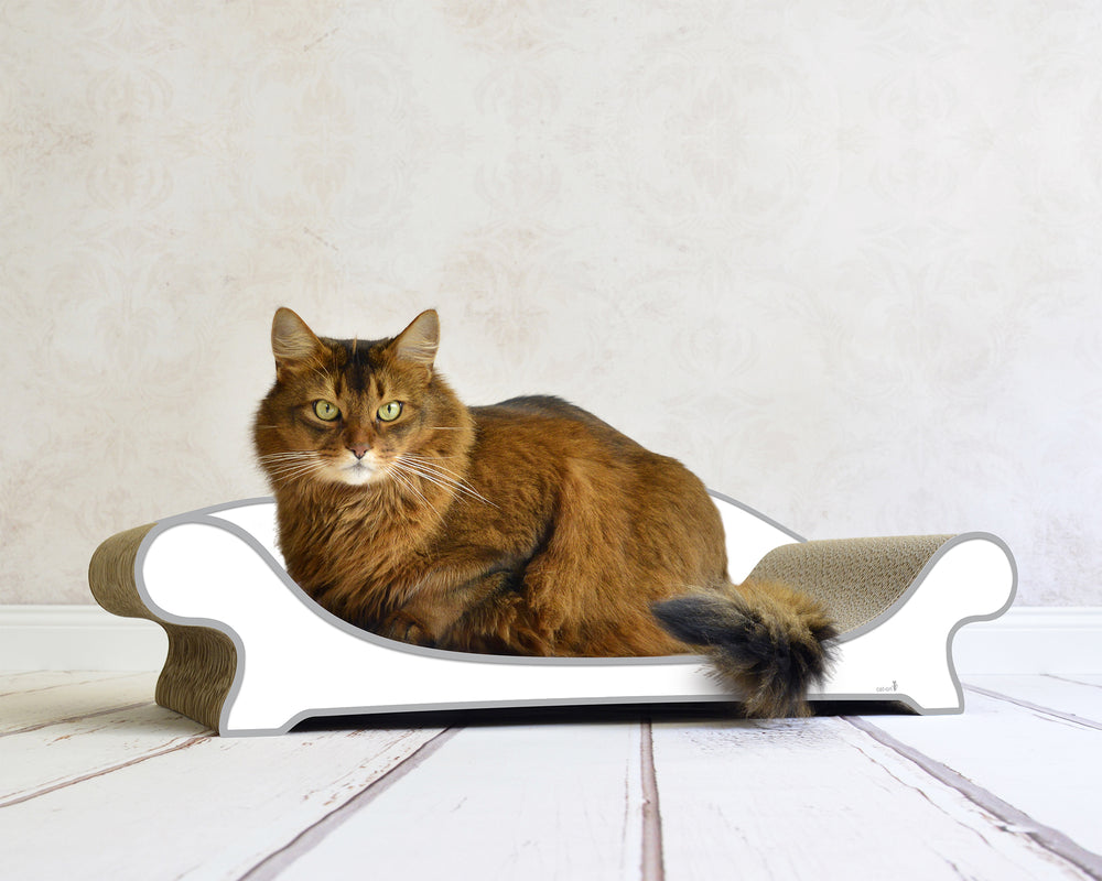 weiß, grauer Rand (000d) - Bild 2