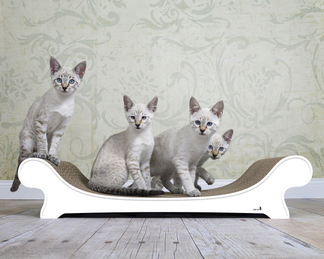LE CANAPÉ Katzensofa