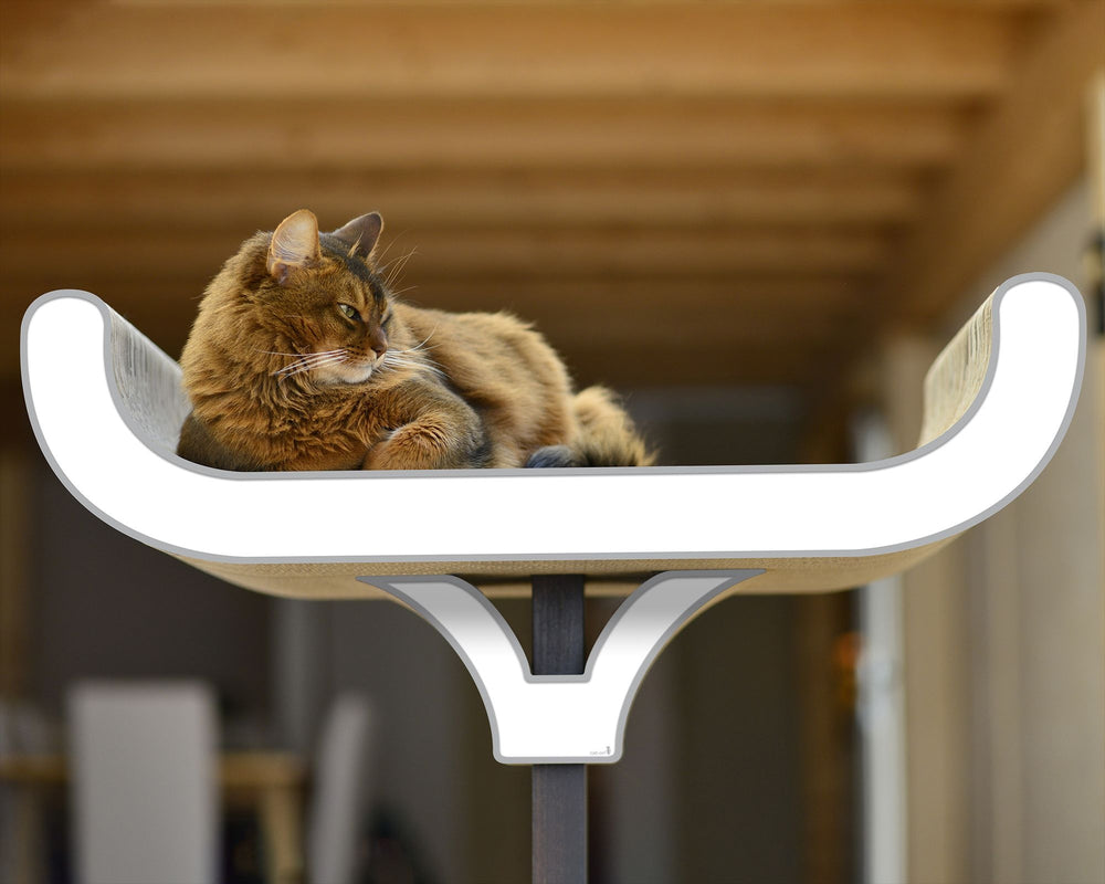 weiß, grauer Rand (000d) - Bild 1