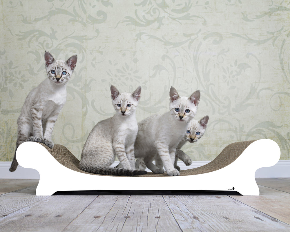 weiß,  gestrichen (000x) - Bild 1